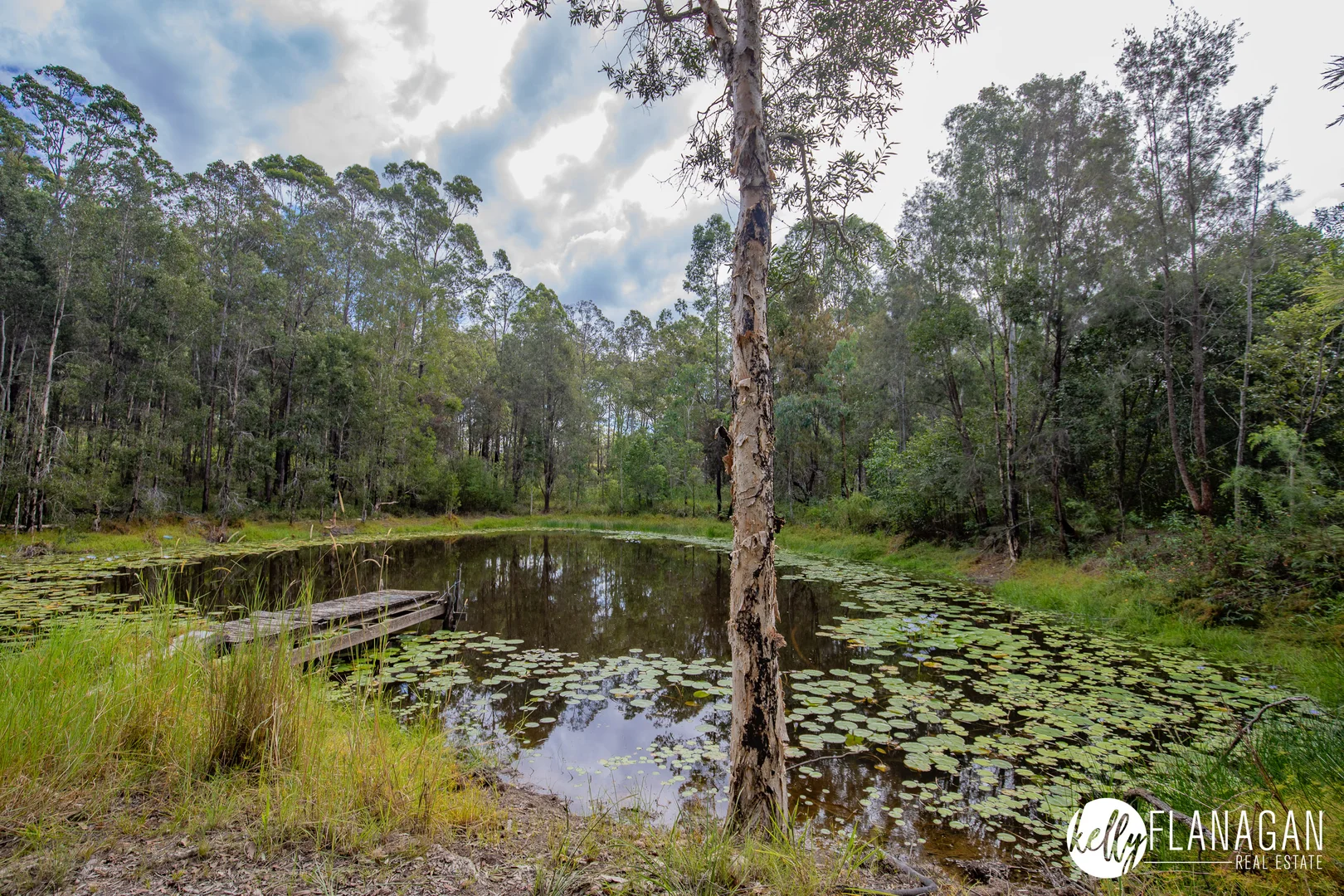 Additional image 27 of 1420 Collombatti Road, Collombatti NSW 2440