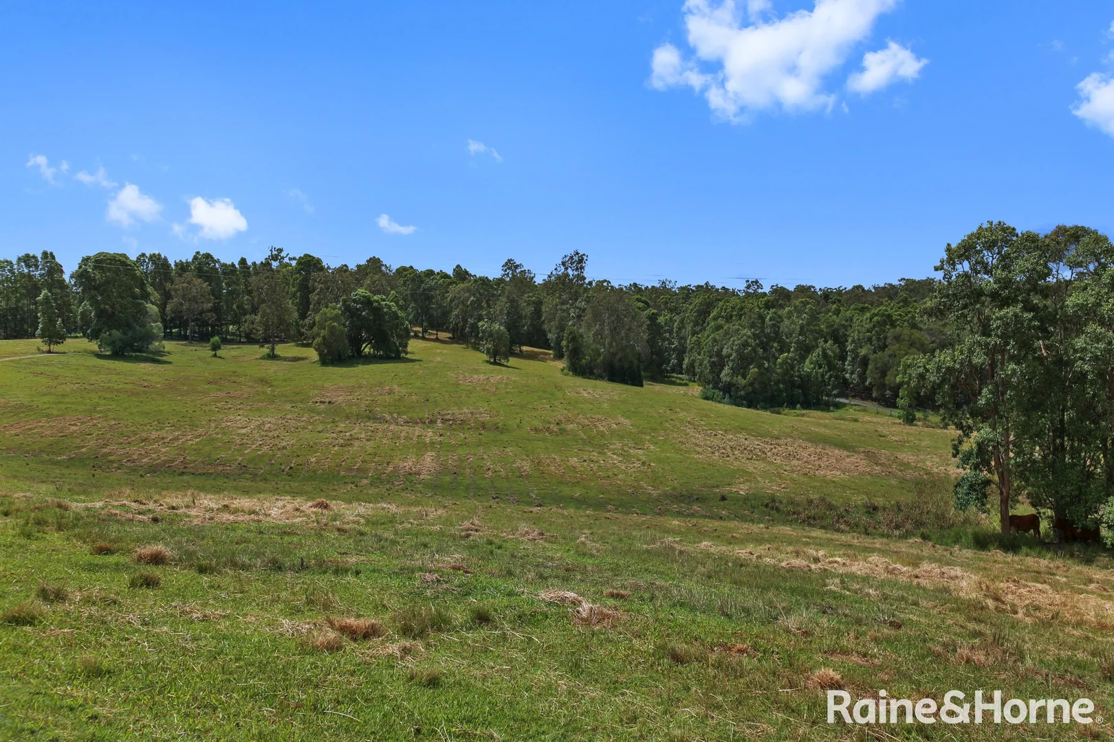 Additional image 16 of 1982 Noosa Road, Traveston QLD 4570