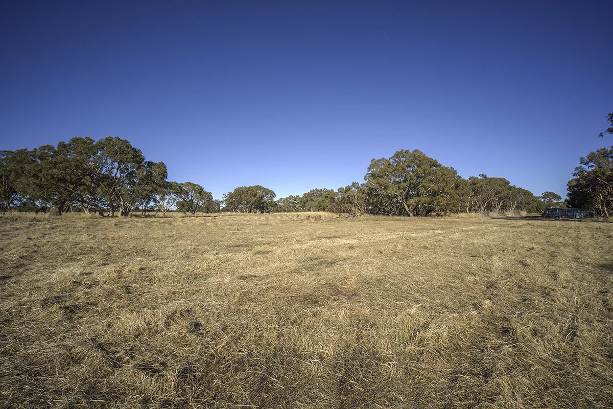 Additional image 9 of Bellicourt Road, Dunkeld VIC 3294