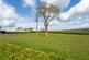 Additional image 27 of Foston, York, YO60