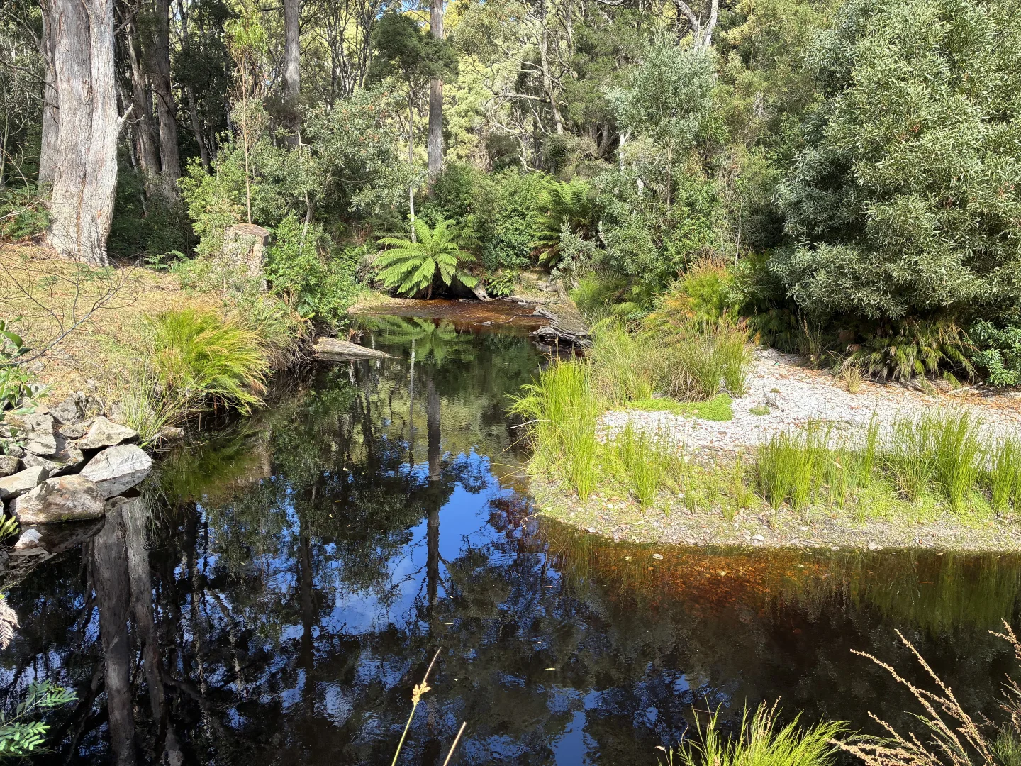Additional image 4 of 306 Coopers Road, Rocky Cape TAS 7321