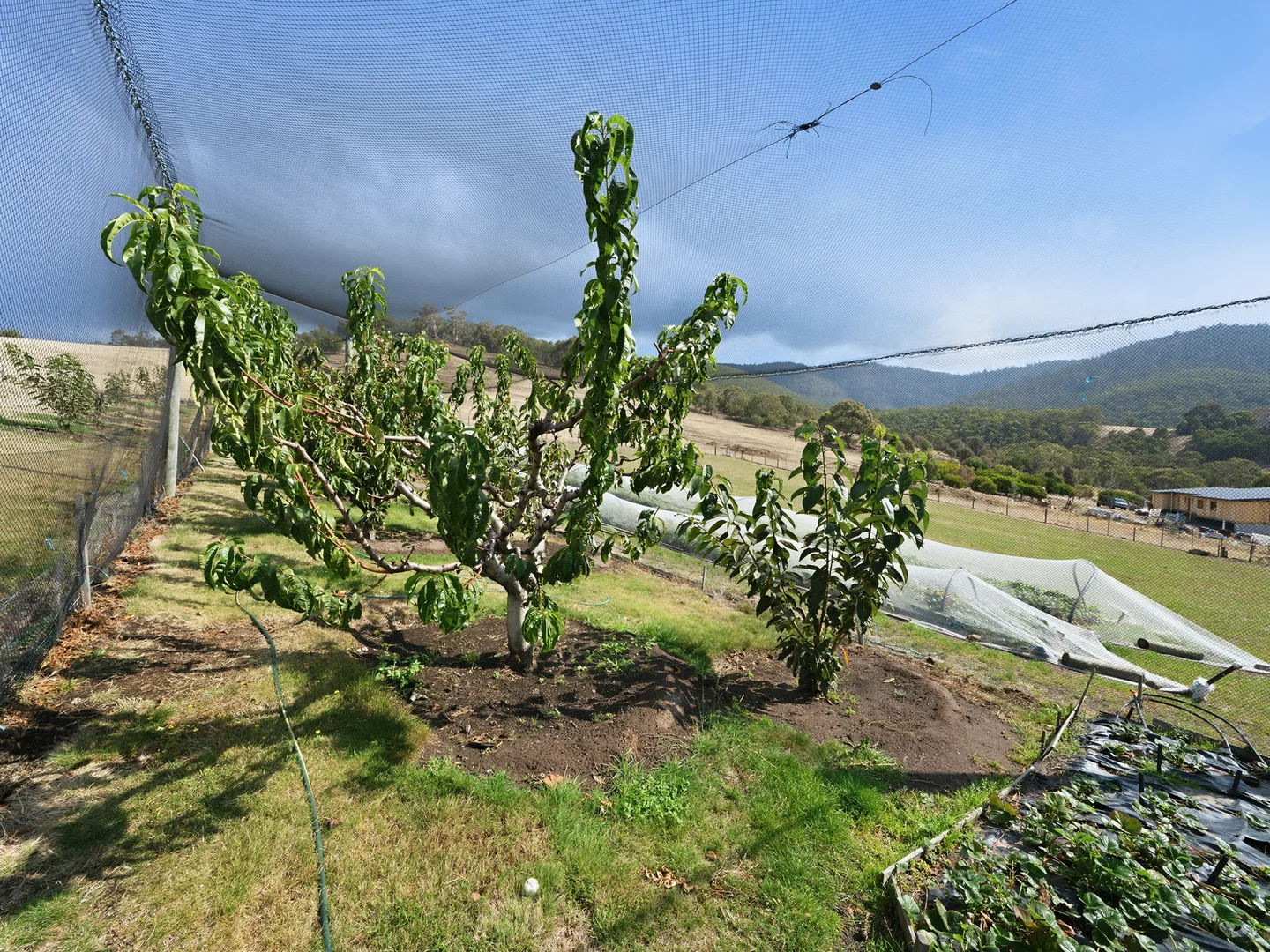 Additional image 34 of 23 Eric Court, Granton TAS 7030