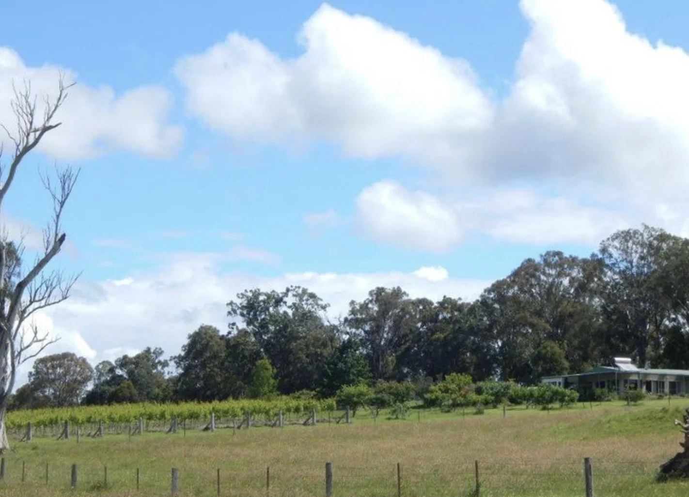 Additional image 37 of 874 Cobargo Bermagui Road, Coolagolite NSW 2550