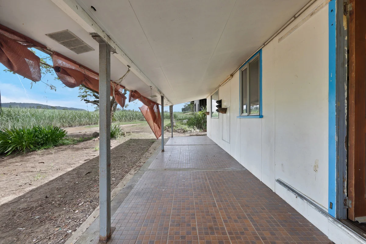 988 Mount Martin Loop Road, Mount Martin QLD 4754 photo 3