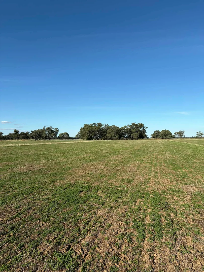 Additional image 14 of 78 Nicholson Lane, Kotta VIC 3565