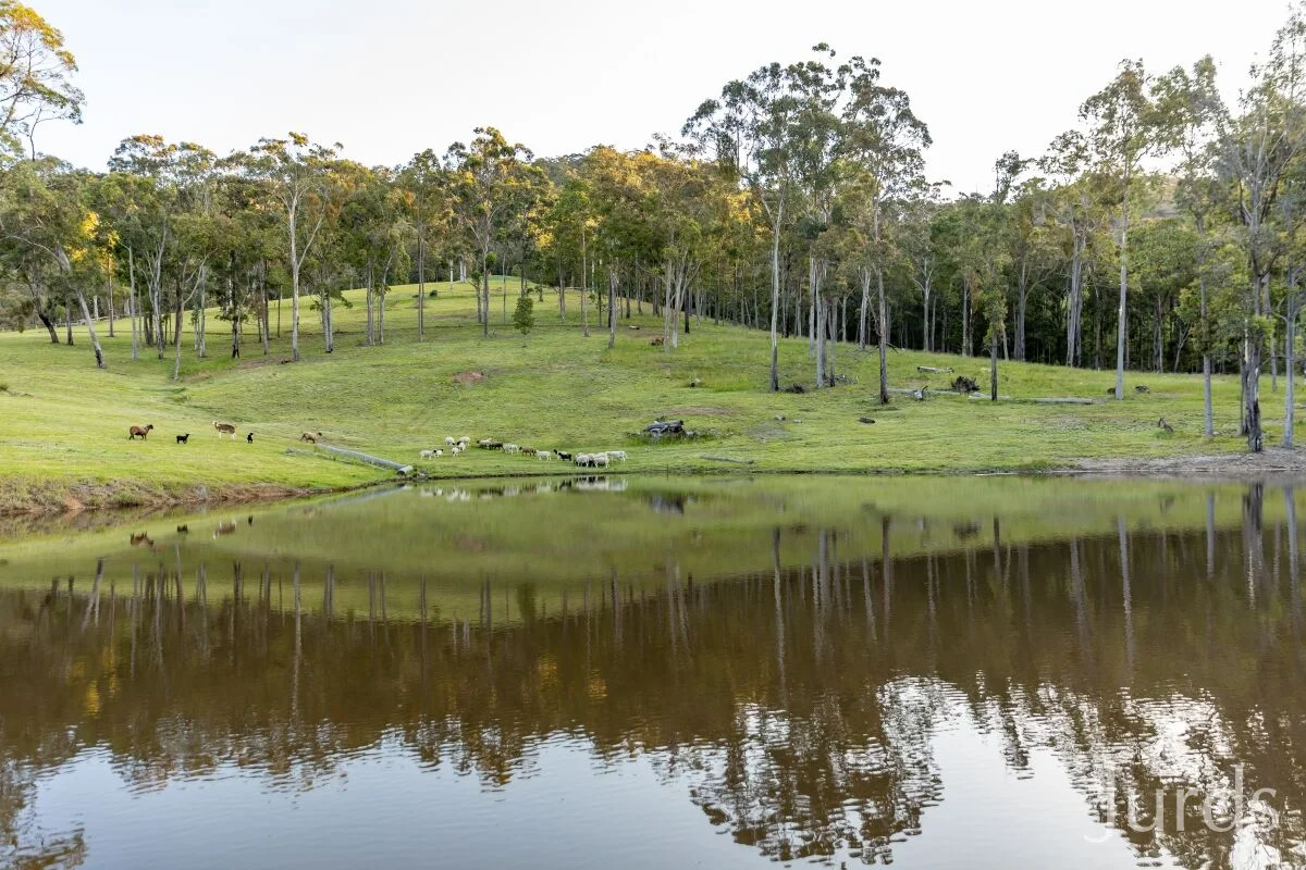 Additional image 15 of 155 Q9 Lane, Ellalong NSW 2325