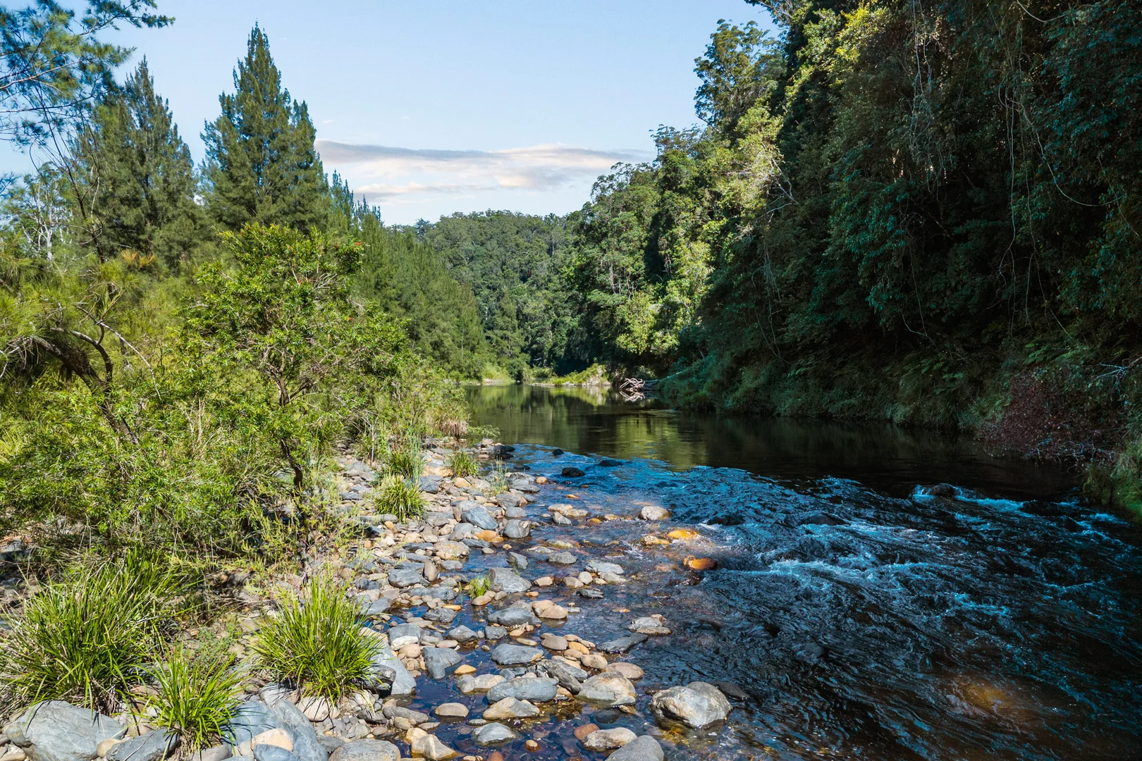 Additional image 3 of 1476 Darkwood Road, Bellingen NSW 2454