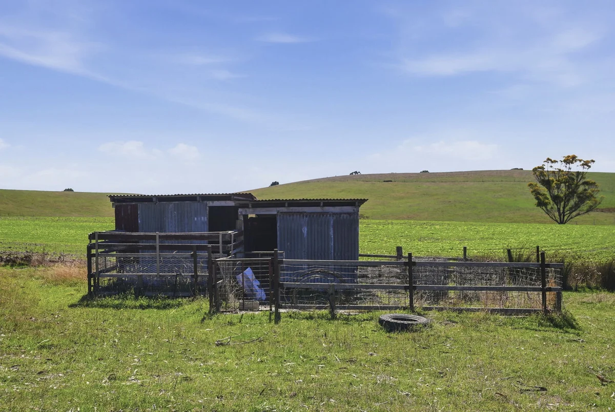Additional image 32 of 19 Hills Road, Pipers Brook TAS 7254