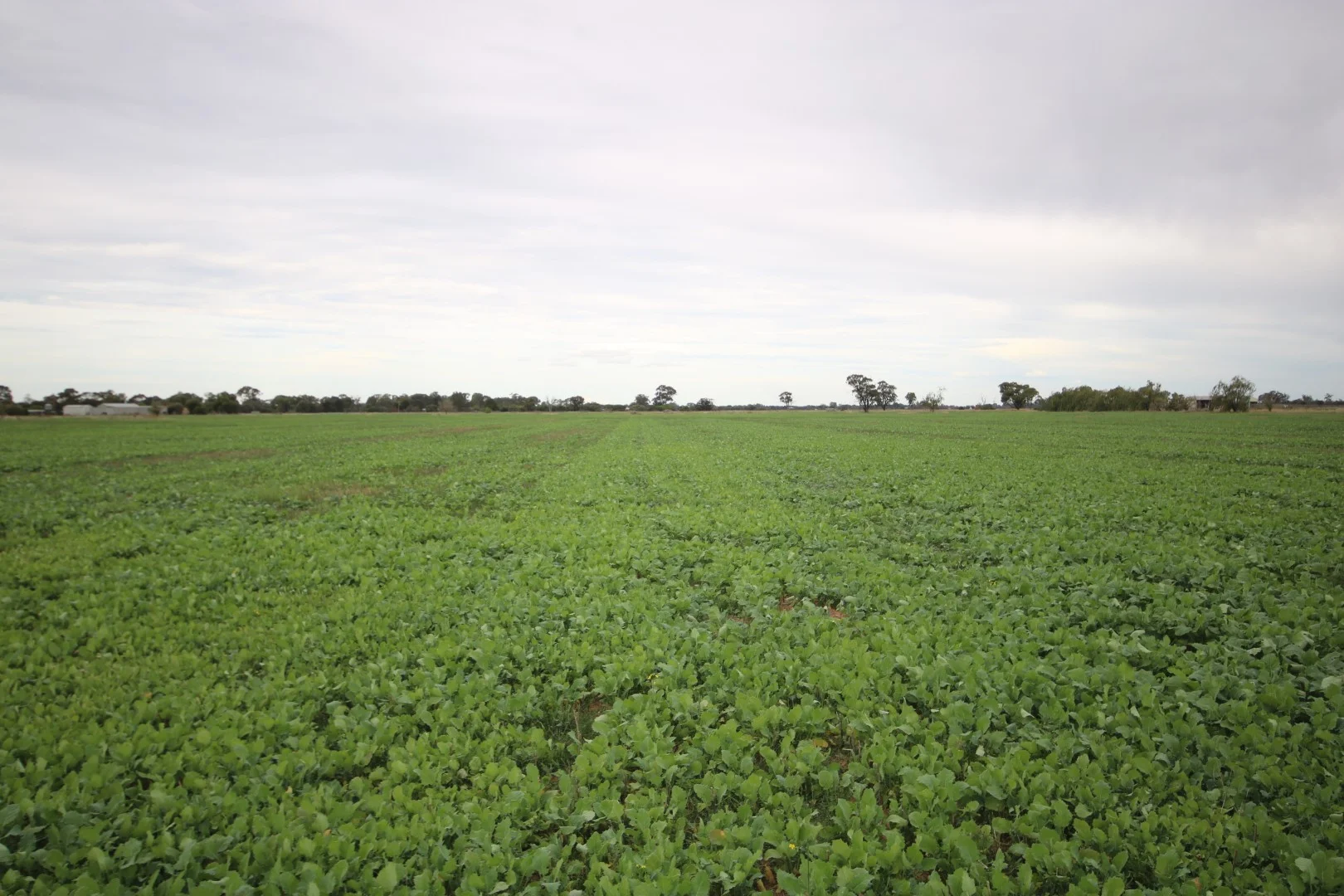 34 Stone Lane, Rochester VIC 3561 photo 2