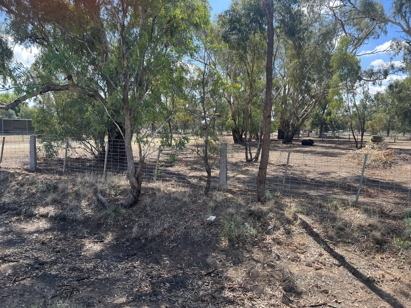 Additional image 3 of 40 Racecourse Road, Berrigan NSW 2712