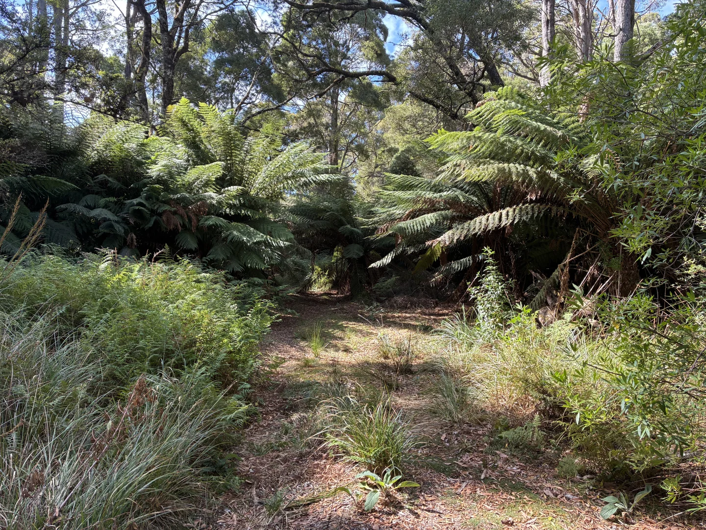 Additional image 5 of 306 Coopers Road, Rocky Cape TAS 7321