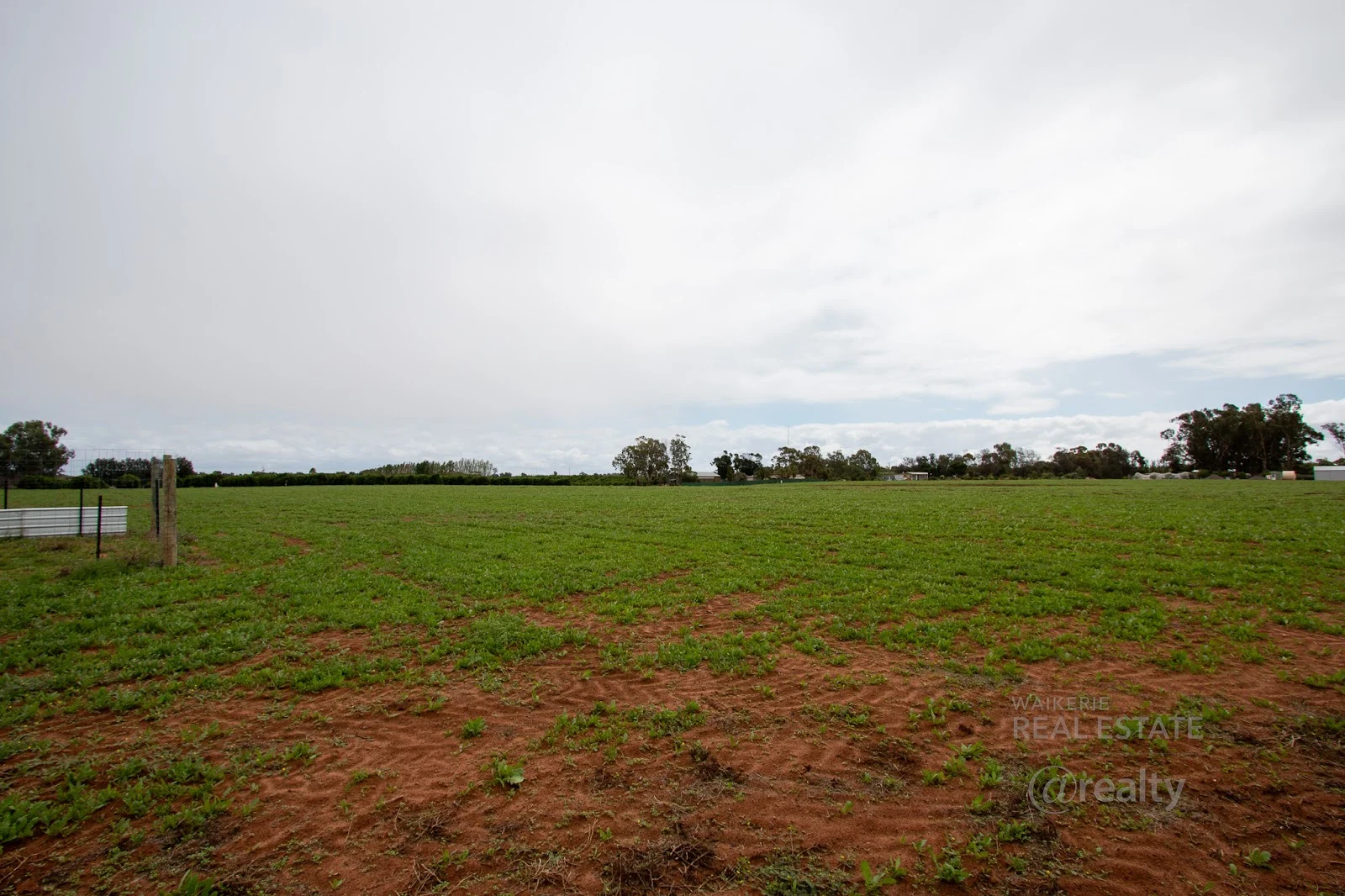 124 Carleton Road, Sunlands SA 5322 photo 3