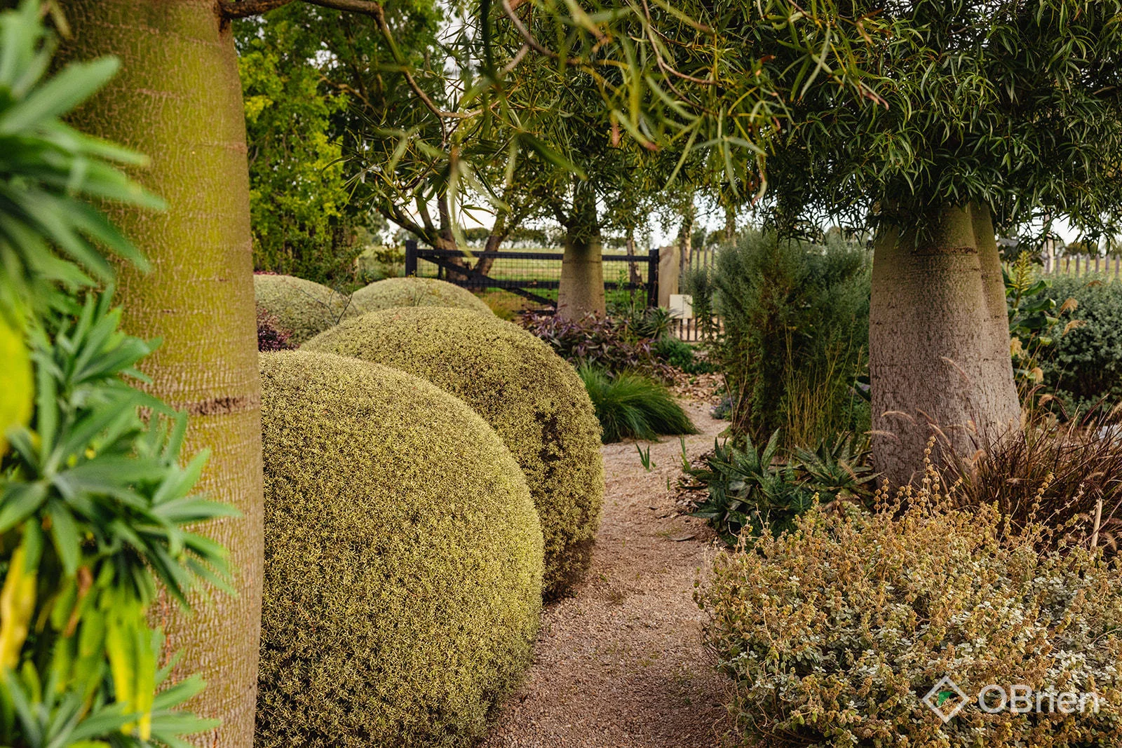 Additional image 17 of 500 Copelands Road, Lillico VIC 3820