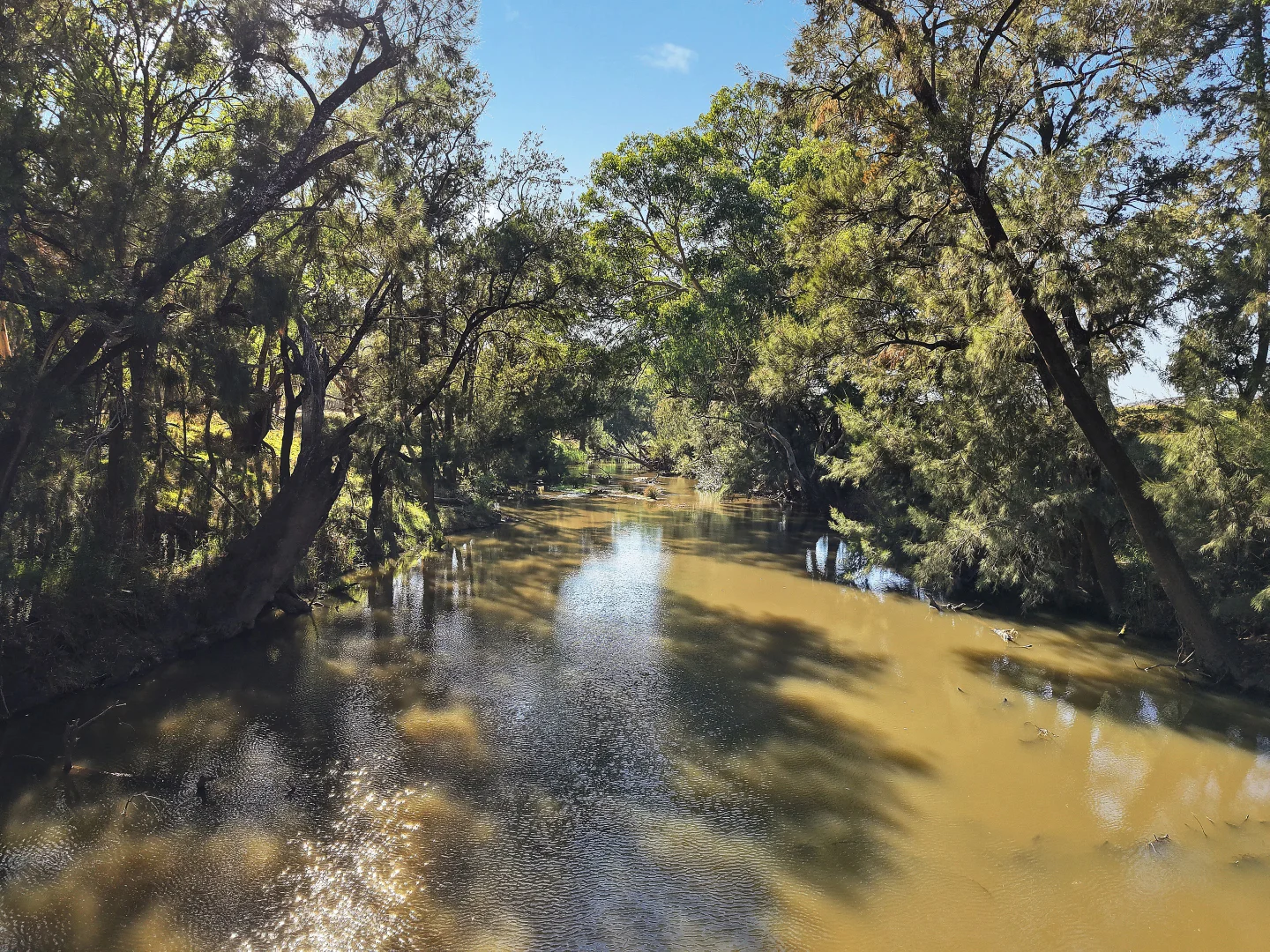 Additional image 15 of 204 Uamby Road, Gulgong NSW 2852