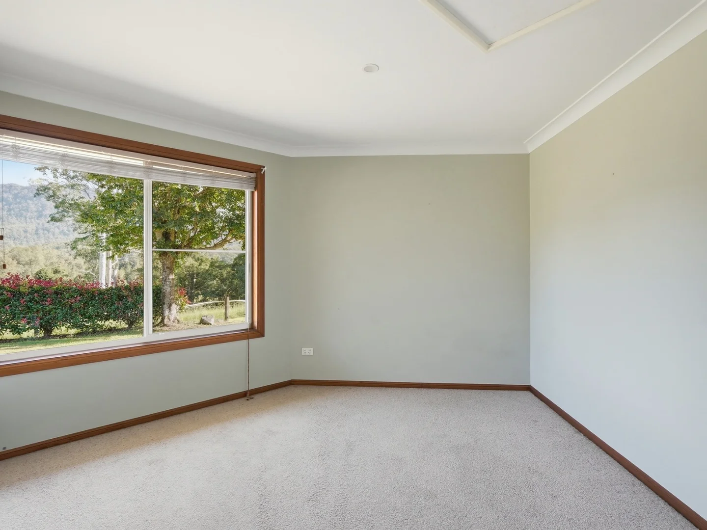 Additional image 9 of 1882 Waterfall Way, Bellingen NSW 2454