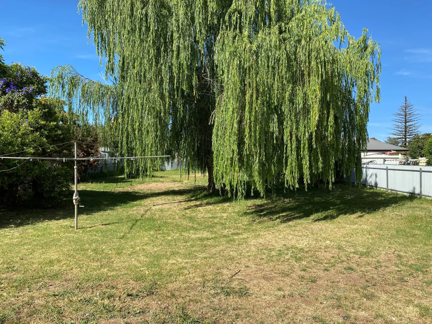 Additional image 15 of 31 Walker Street, Corowa NSW 2646