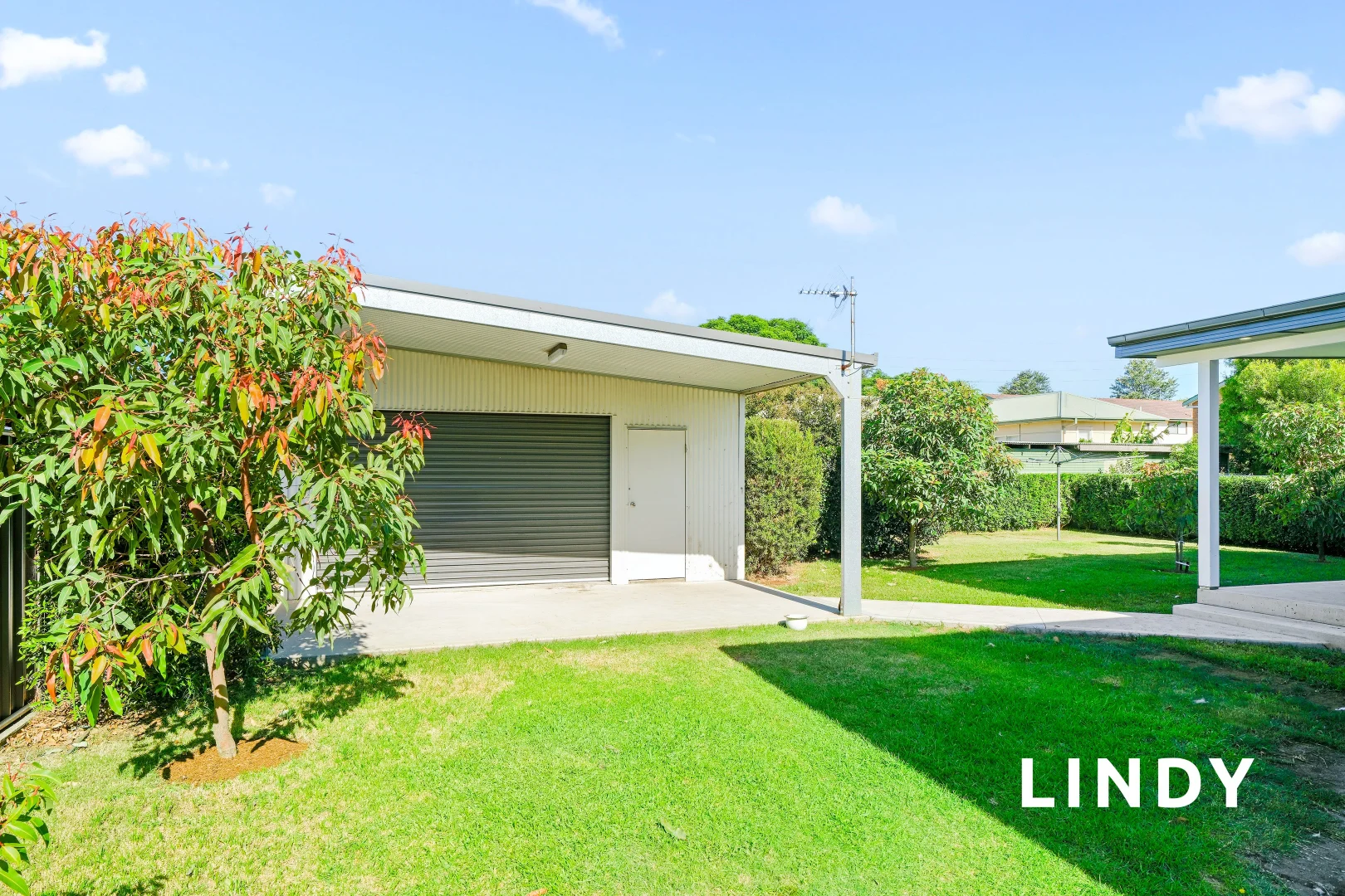 Additional image 6 of 19 Bishopgate Street, Singleton NSW 2330