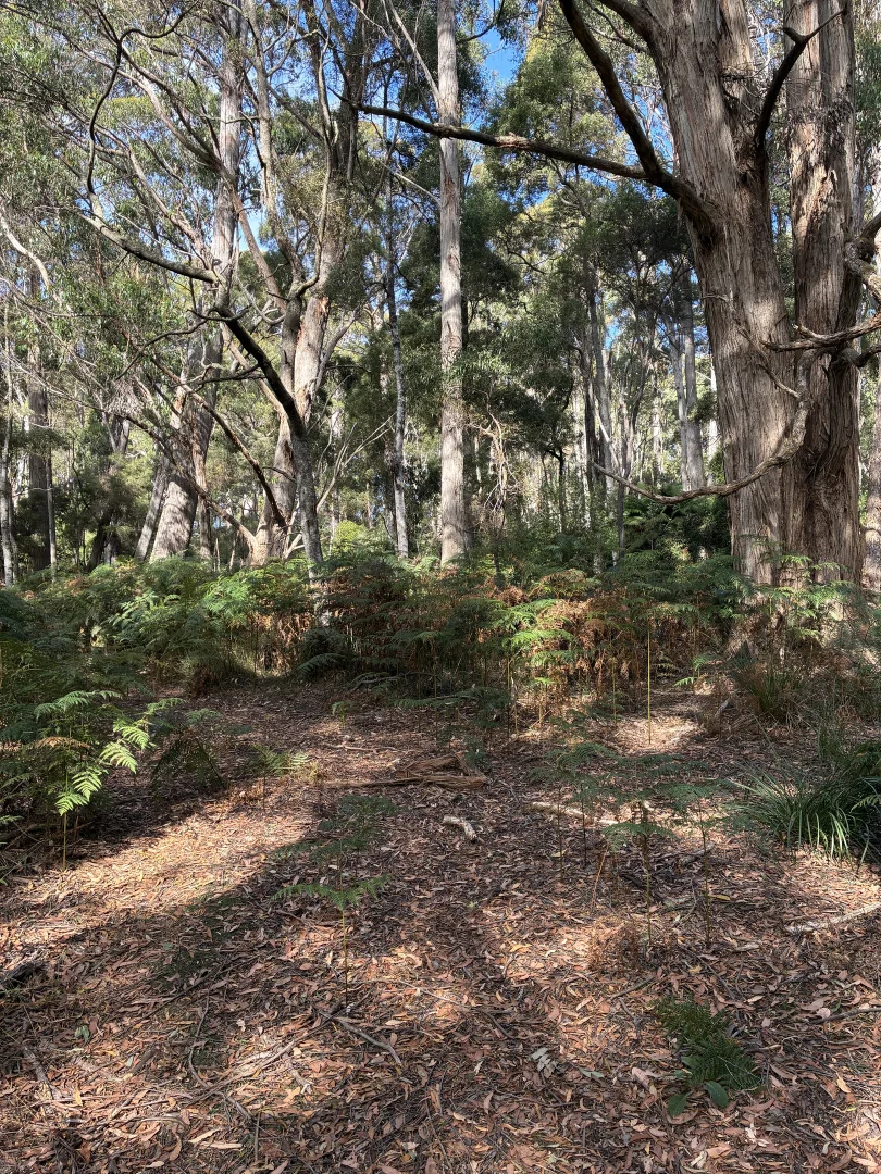 Additional image 11 of 306 Coopers Road, Rocky Cape TAS 7321