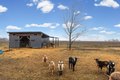Additional image 9 of 4239 Seven Hills Rd, Odin, IL, 62870