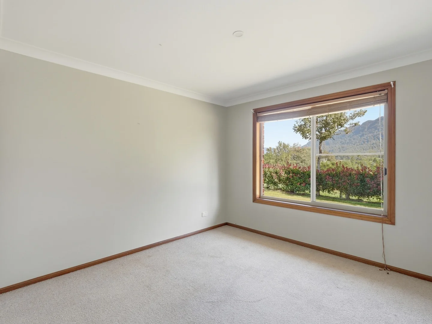 Additional image 6 of 1882 Waterfall Way, Bellingen NSW 2454