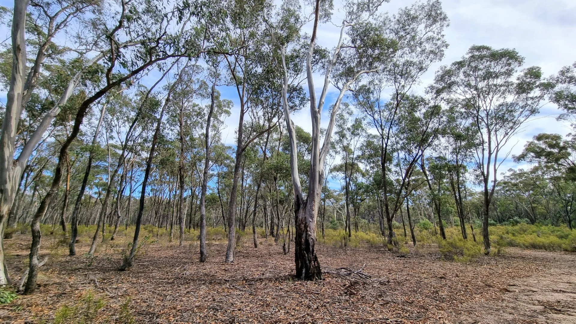 Additional image 13 of 408 Sinclairs Lane, Walmer VIC 3463