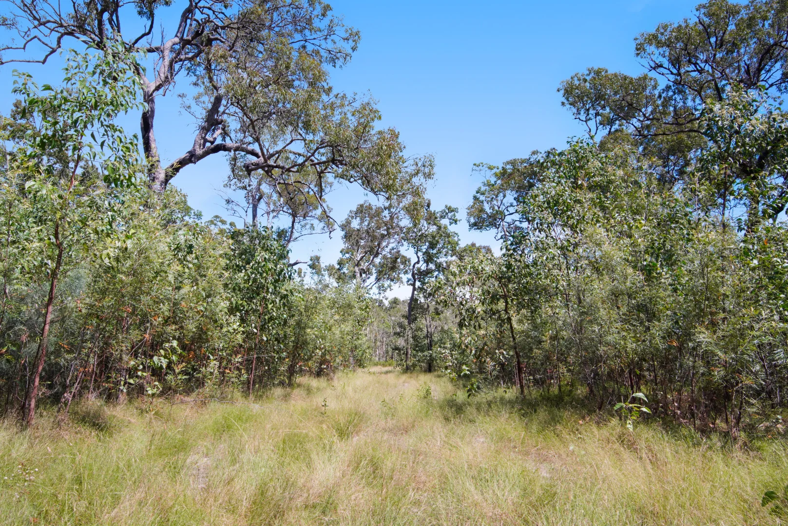 Additional image 25 of 545 Pacific Drive, Deepwater QLD 4674