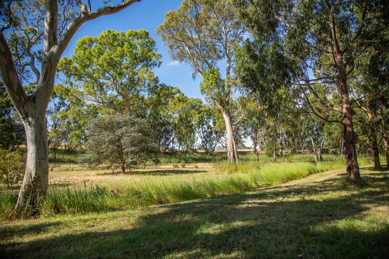 Additional image 40 of 124 Nitschke Road, Littlehampton SA 5250