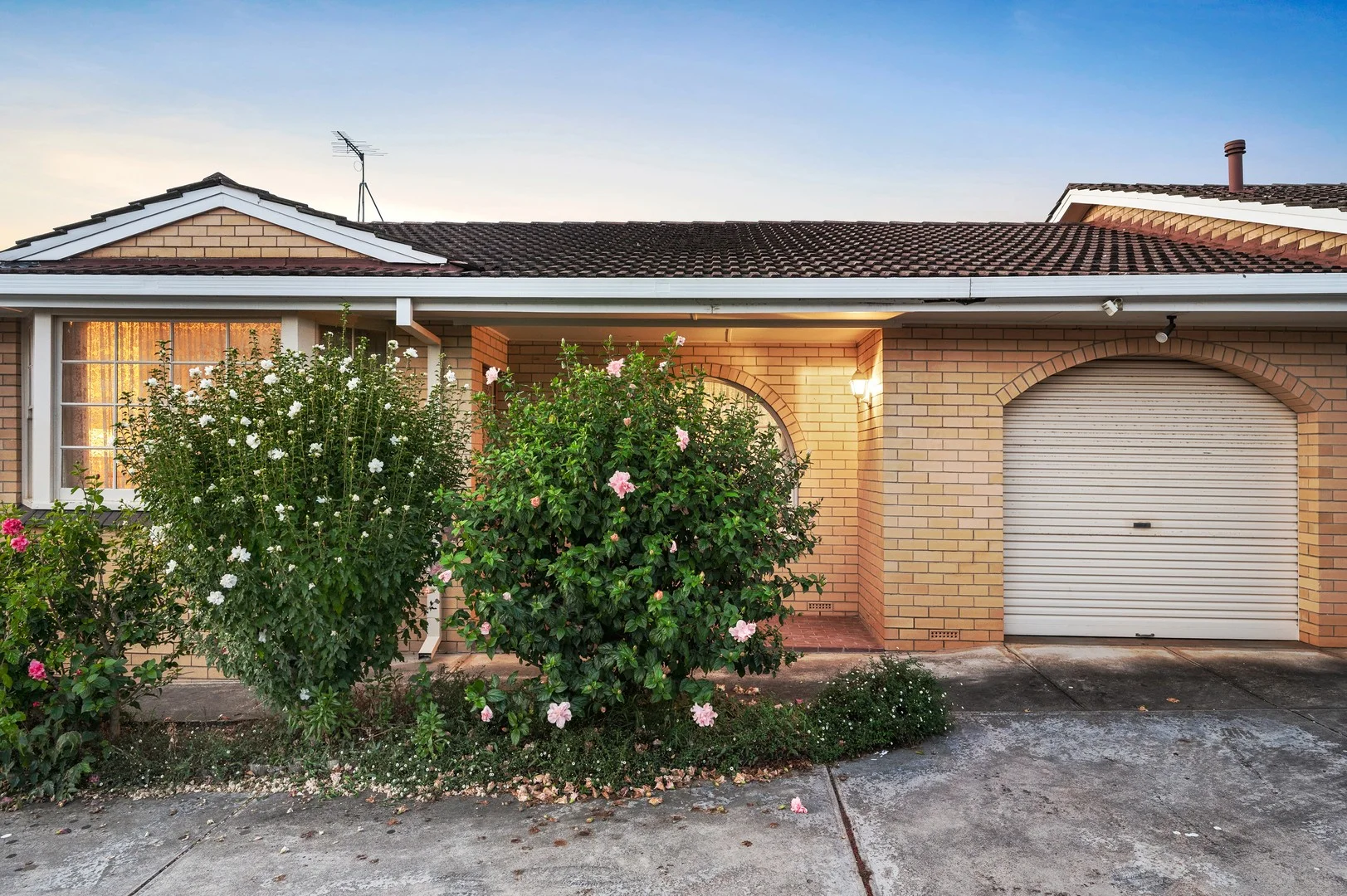 2/56 Brigalow Ave, Kensington Gardens SA 5068