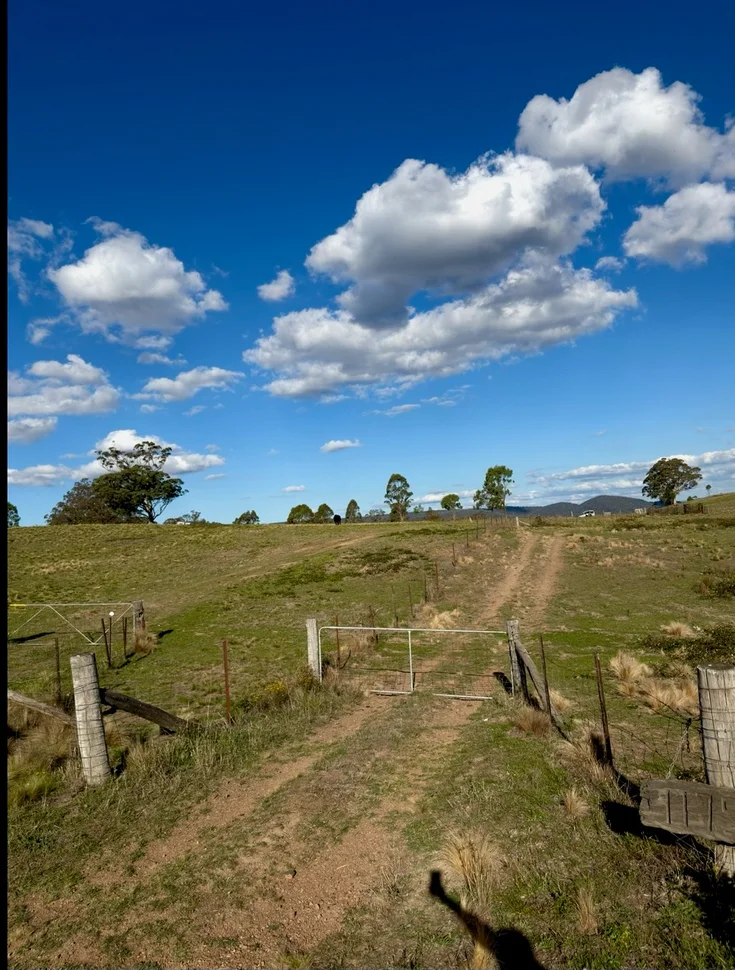 1175 Razorback Road, Mudgee NSW 2850 photo 3