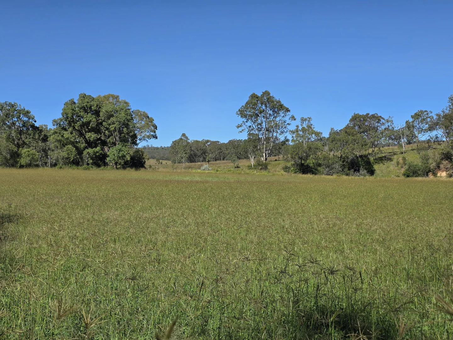 Additional image 6 of 160 Rocky Gully Road, Crows Nest QLD 4355