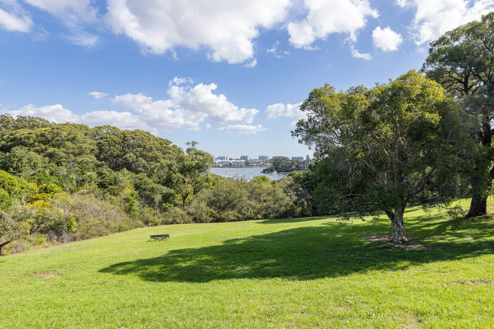 Additional image 29 of 17 Linsley Street, Gladesville NSW 2111