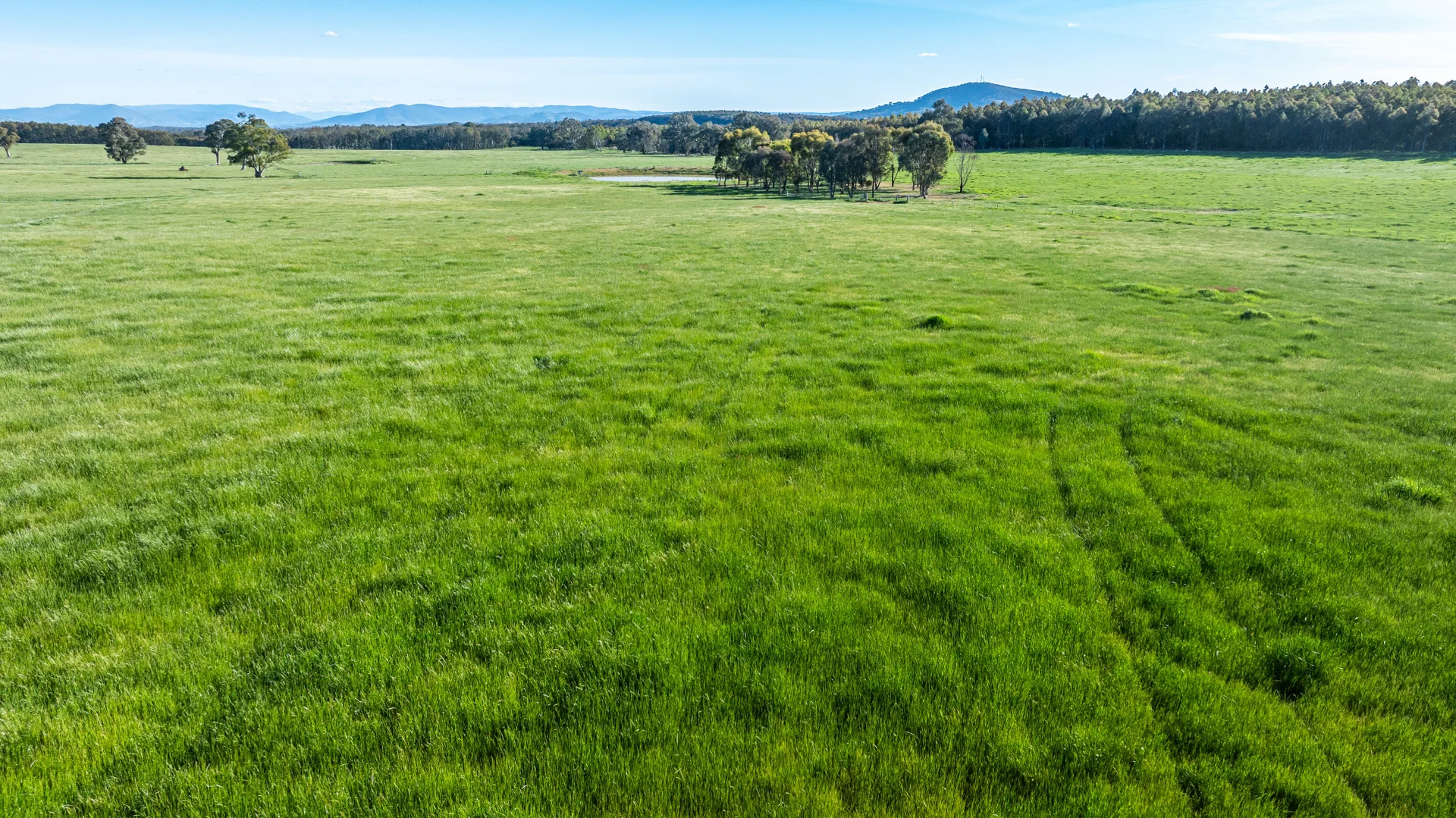 Additional image 3 of 9 Eagle Rise Road, Table Top NSW 2640