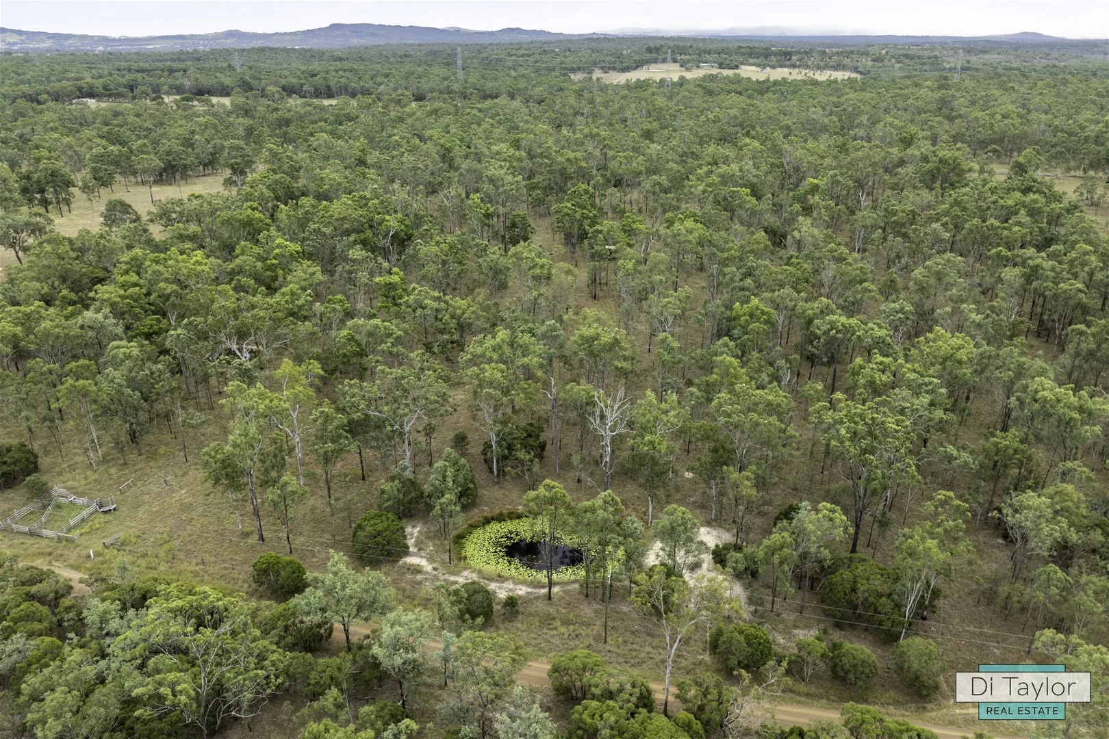 64-92 Tea Tree Ave, Mount Forbes QLD 4340 photo 3