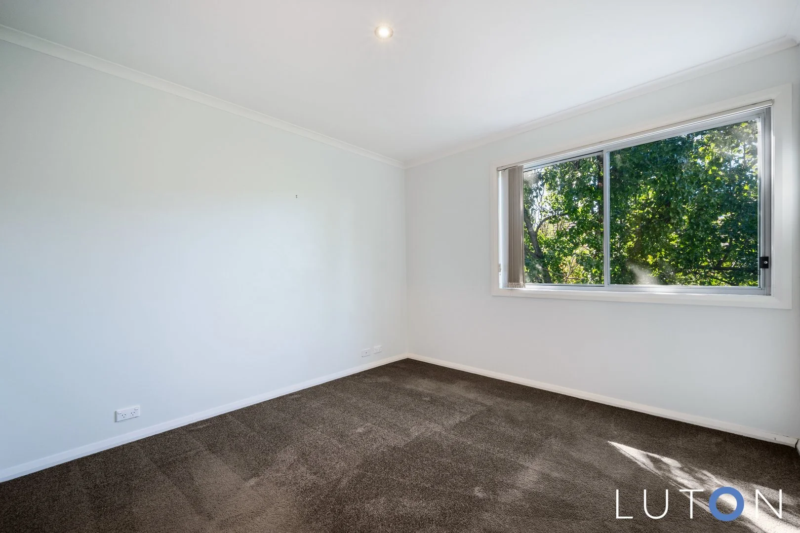 Additional image 13 of 6/71 Torrens Street, Braddon ACT 2612