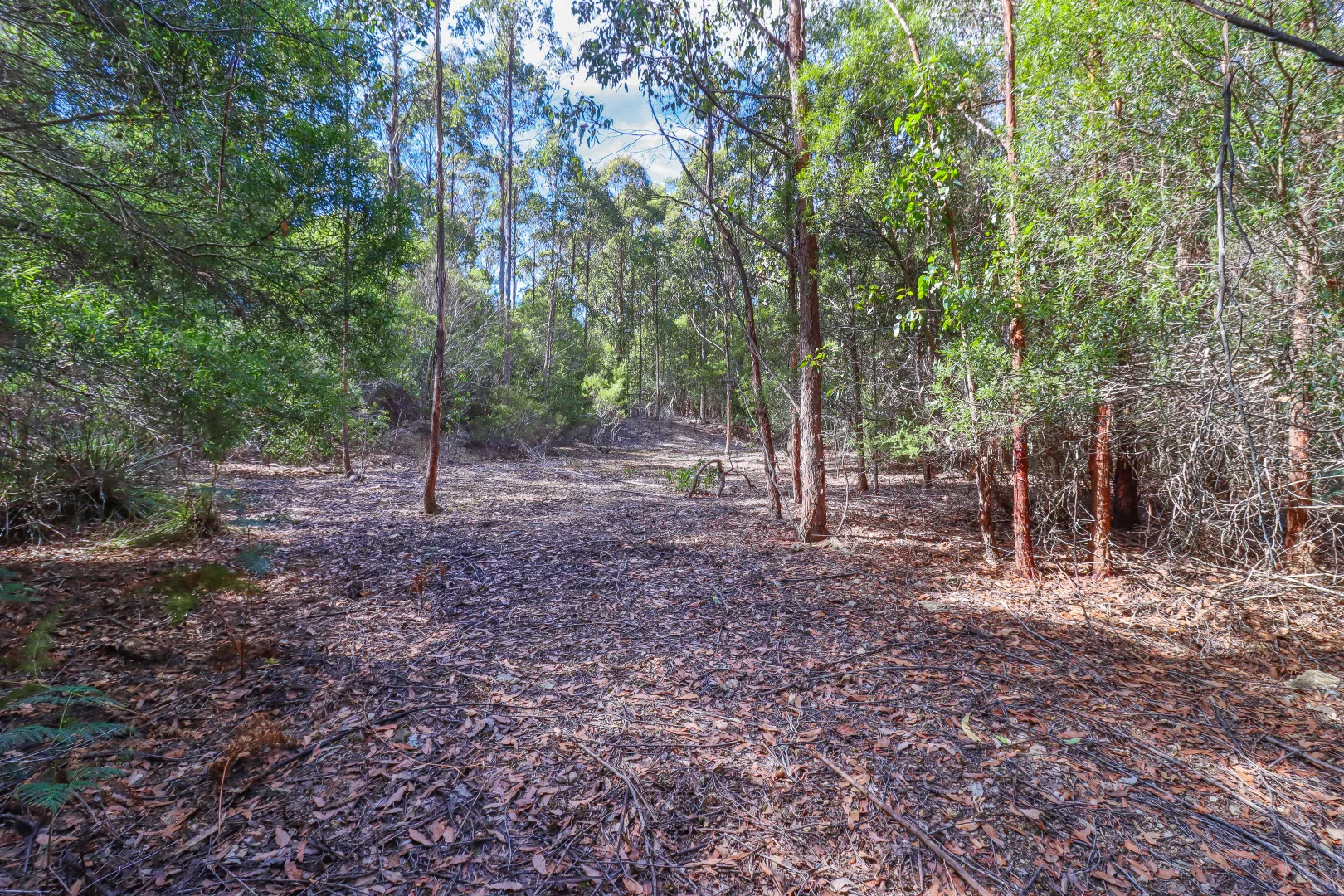 Additional image 5 of 1 Link Road, Lonnavale TAS 7109