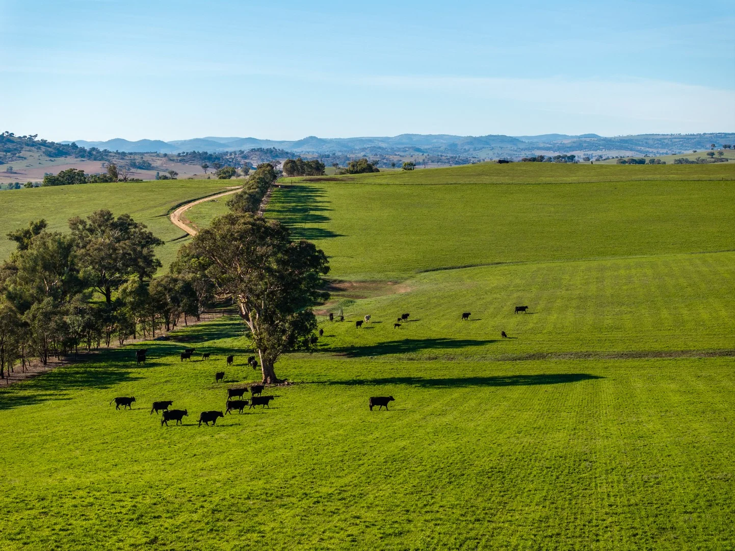 478 Illawong Road, Jugiong NSW 2726