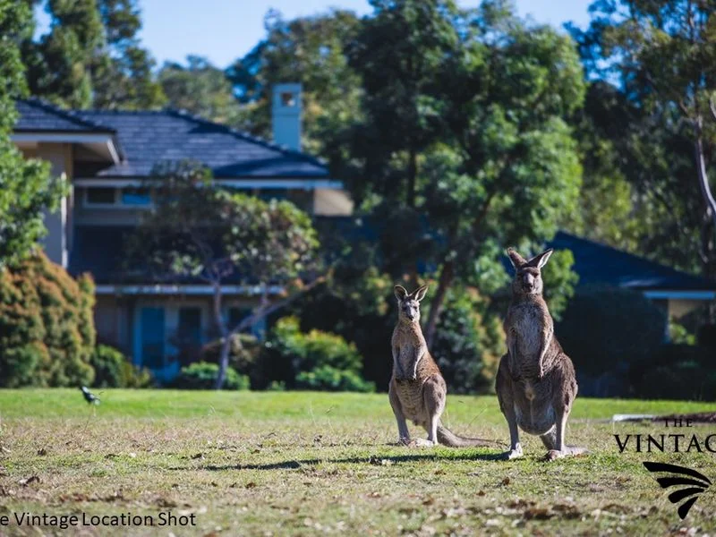 Additional image 6 of 110 Casuarina Drive, Pokolbin NSW 2320