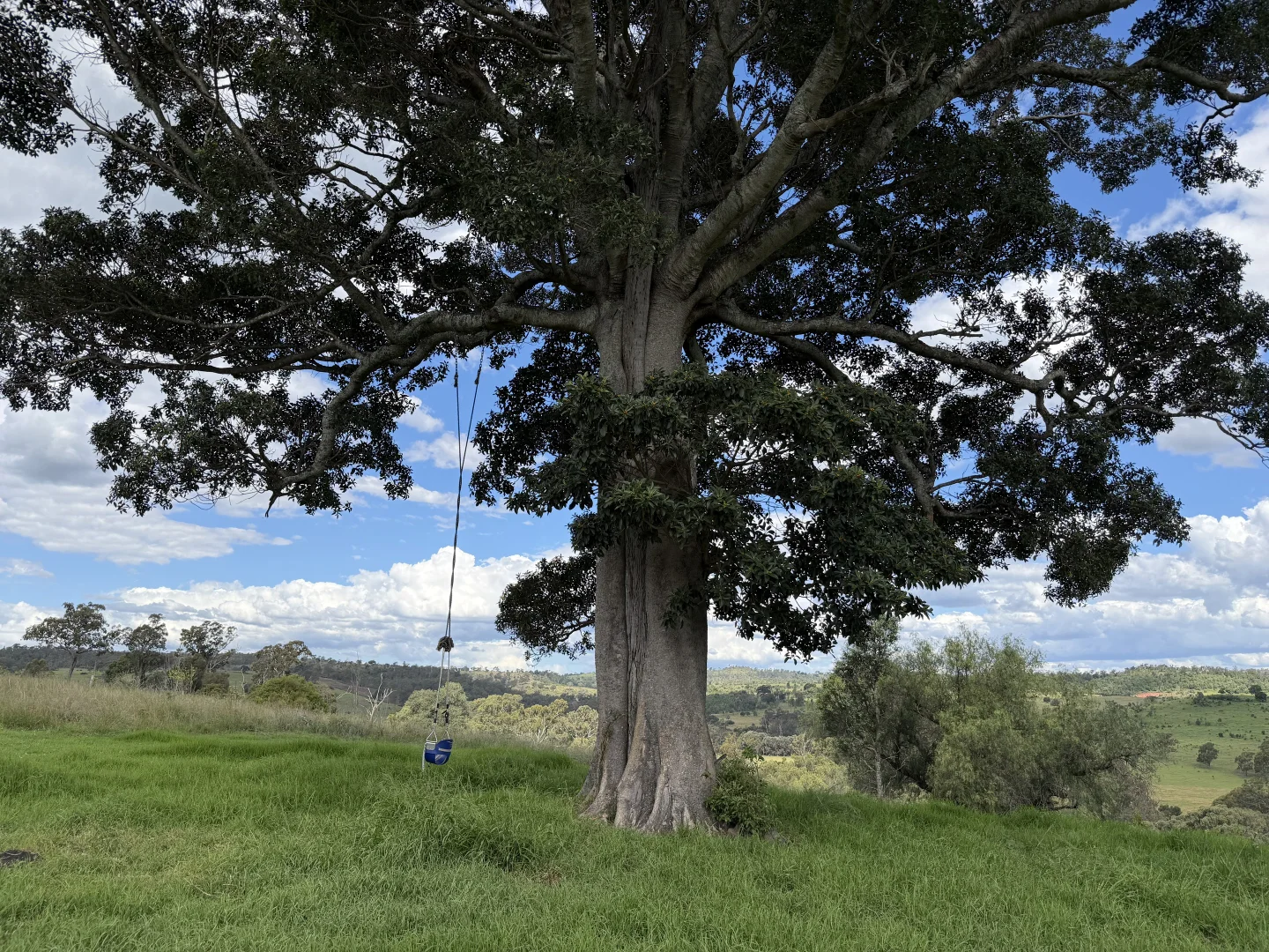 Additional image 23 of 492 North Maclagan Road, Maclagan QLD 4352