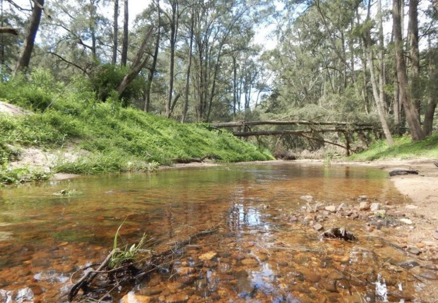 Additional image 36 of 874 Cobargo Bermagui Road, Coolagolite NSW 2550