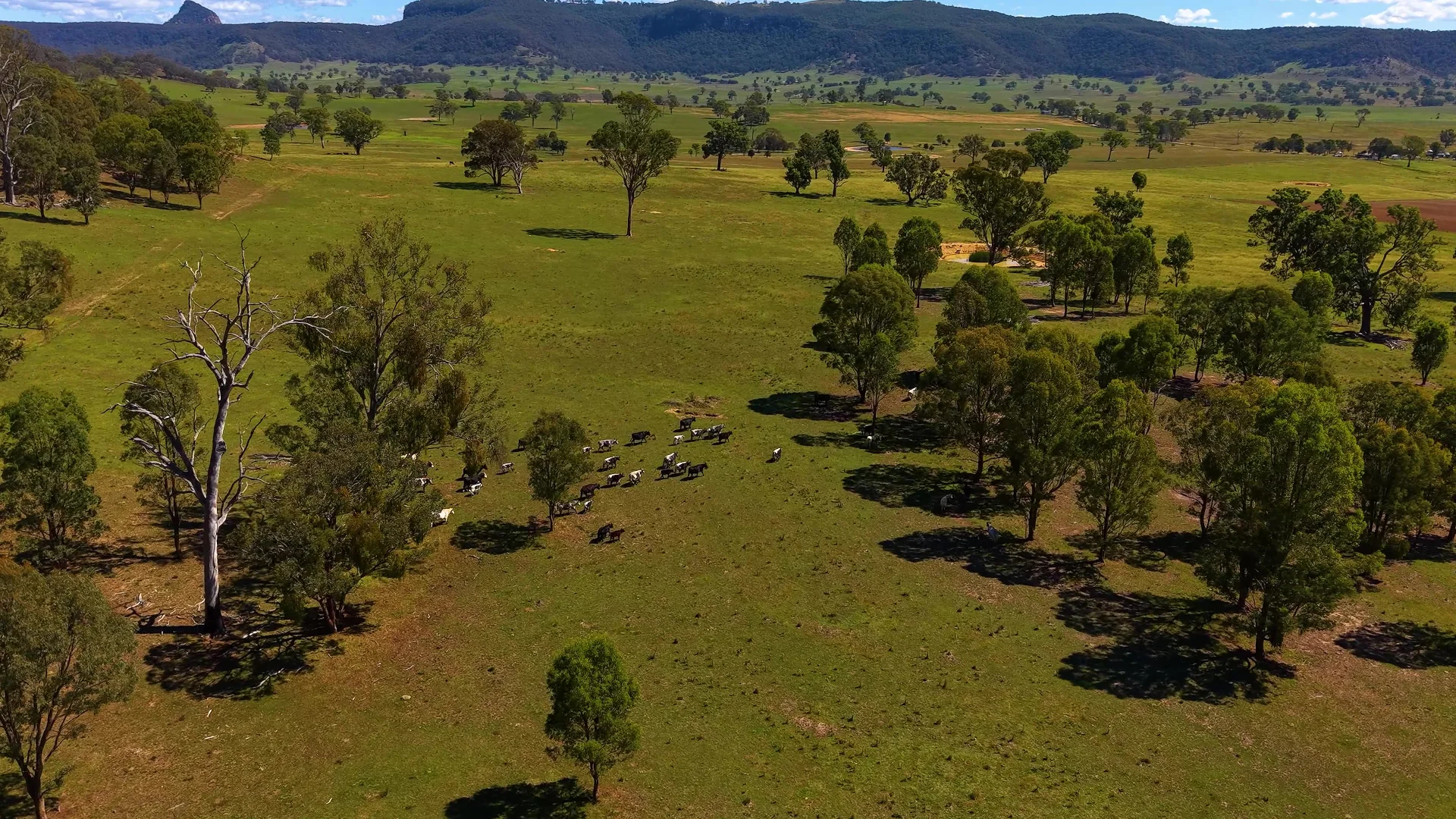 Additional image 5 of 214 Bowles Lane, Rylstone NSW 2849