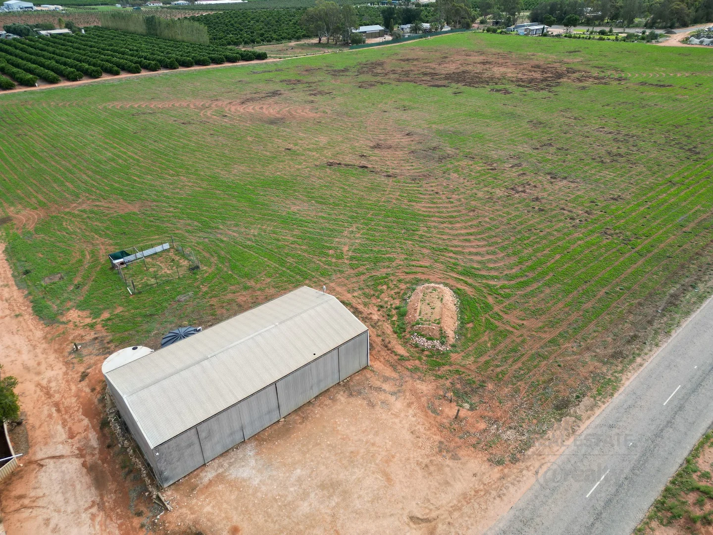124 Carleton Road, Sunlands SA 5322 photo 5