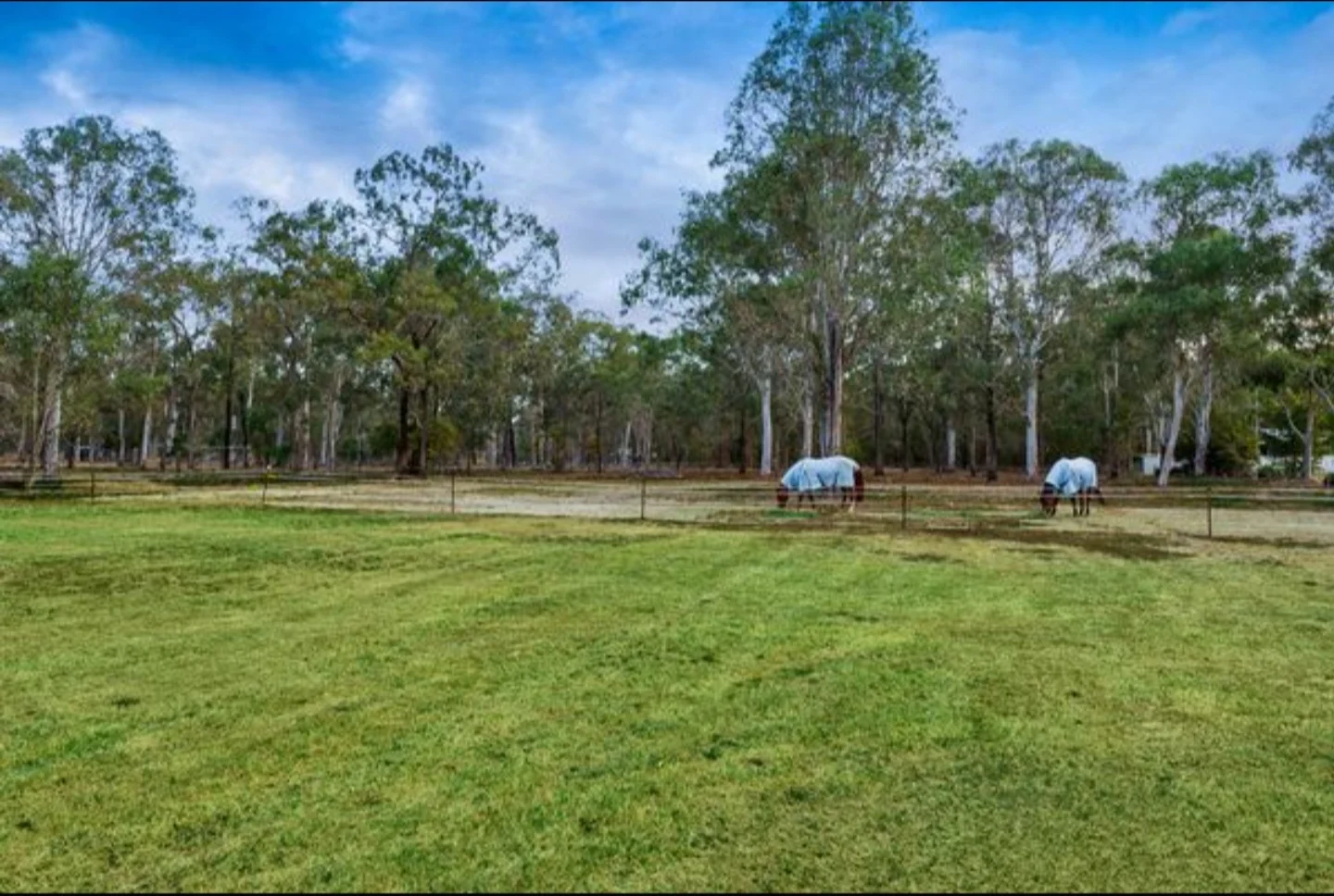 Additional image 10 of 133 Molle Road, Chandler QLD 4155