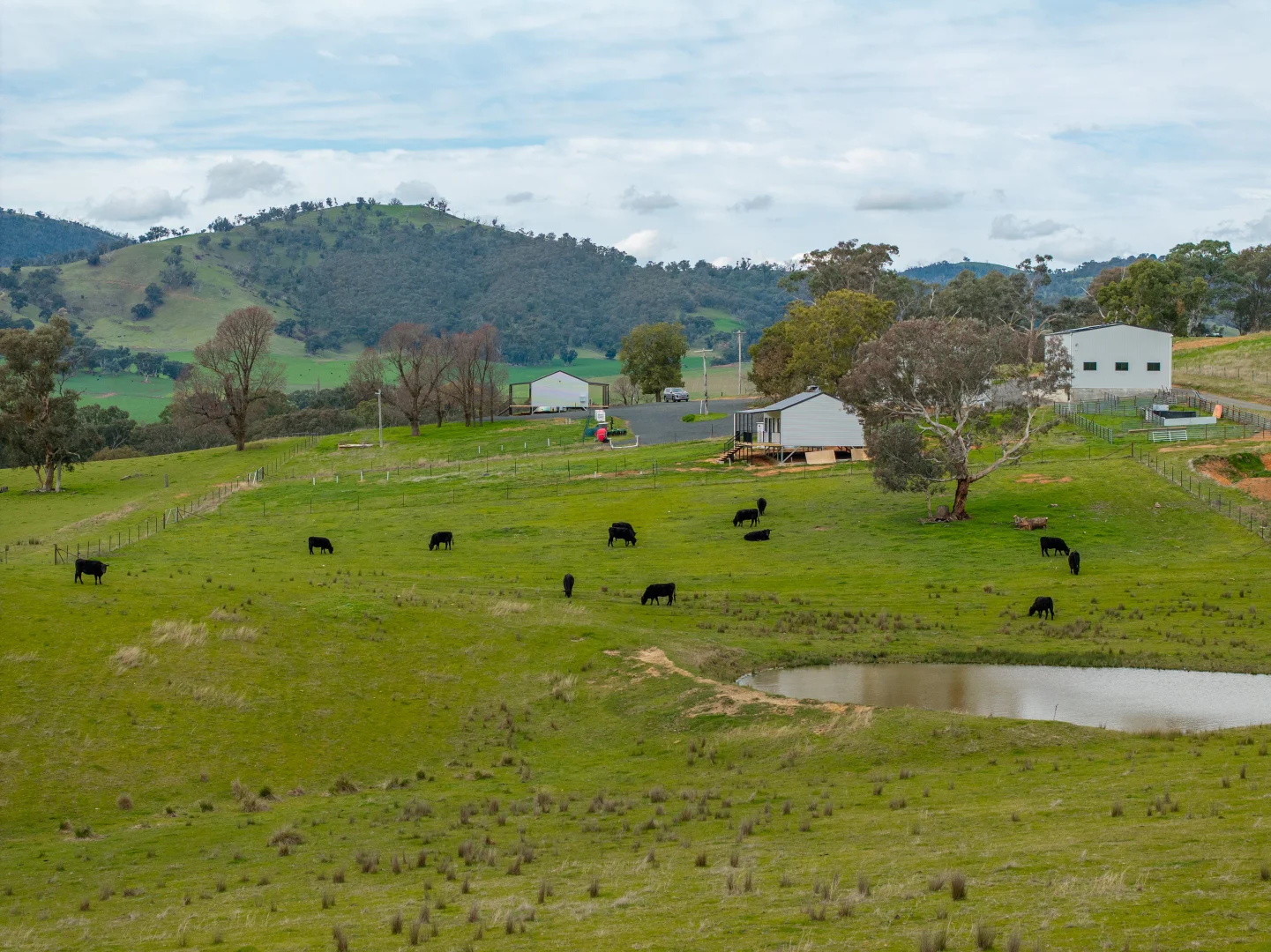 Additional image 4 of 2543 Westbrook Road, Oberne Creek NSW 2650