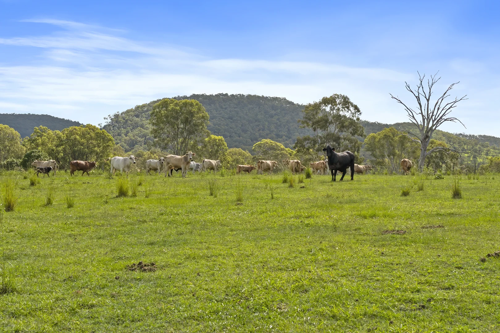 Additional image 9 of Lot 172 Gympie-Woolooga Road, Lower Wonga QLD 4570