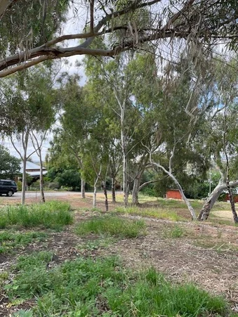 Additional image 4 of 19 Harriott Street, York WA 6302