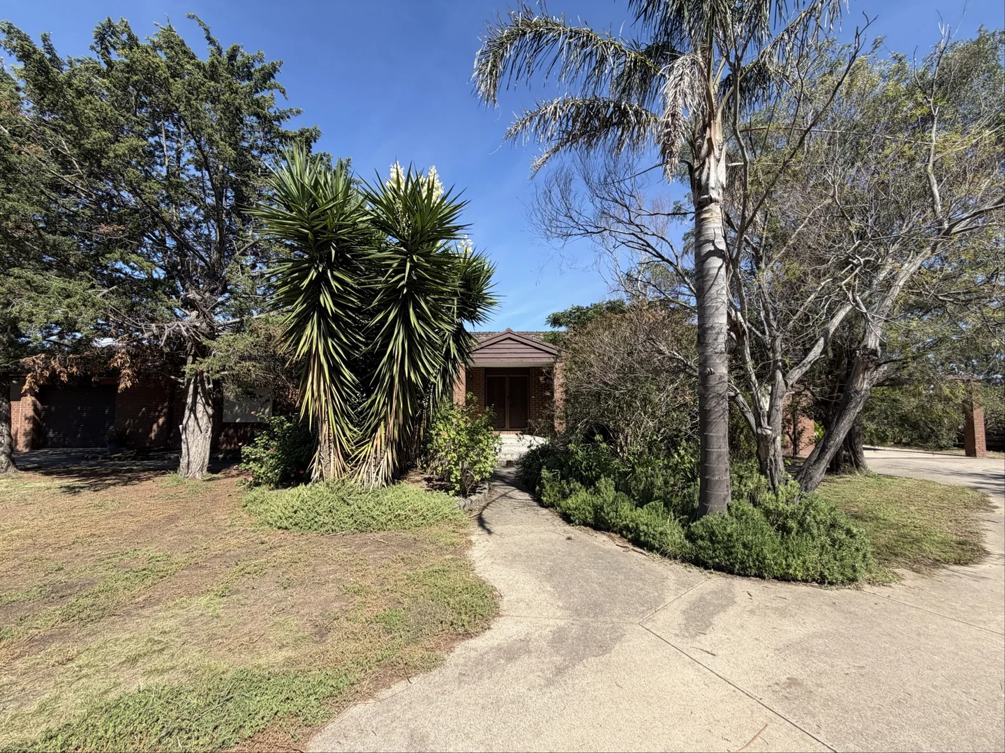 Additional image 2 of 53 Bulla Road, Bulla VIC 3428