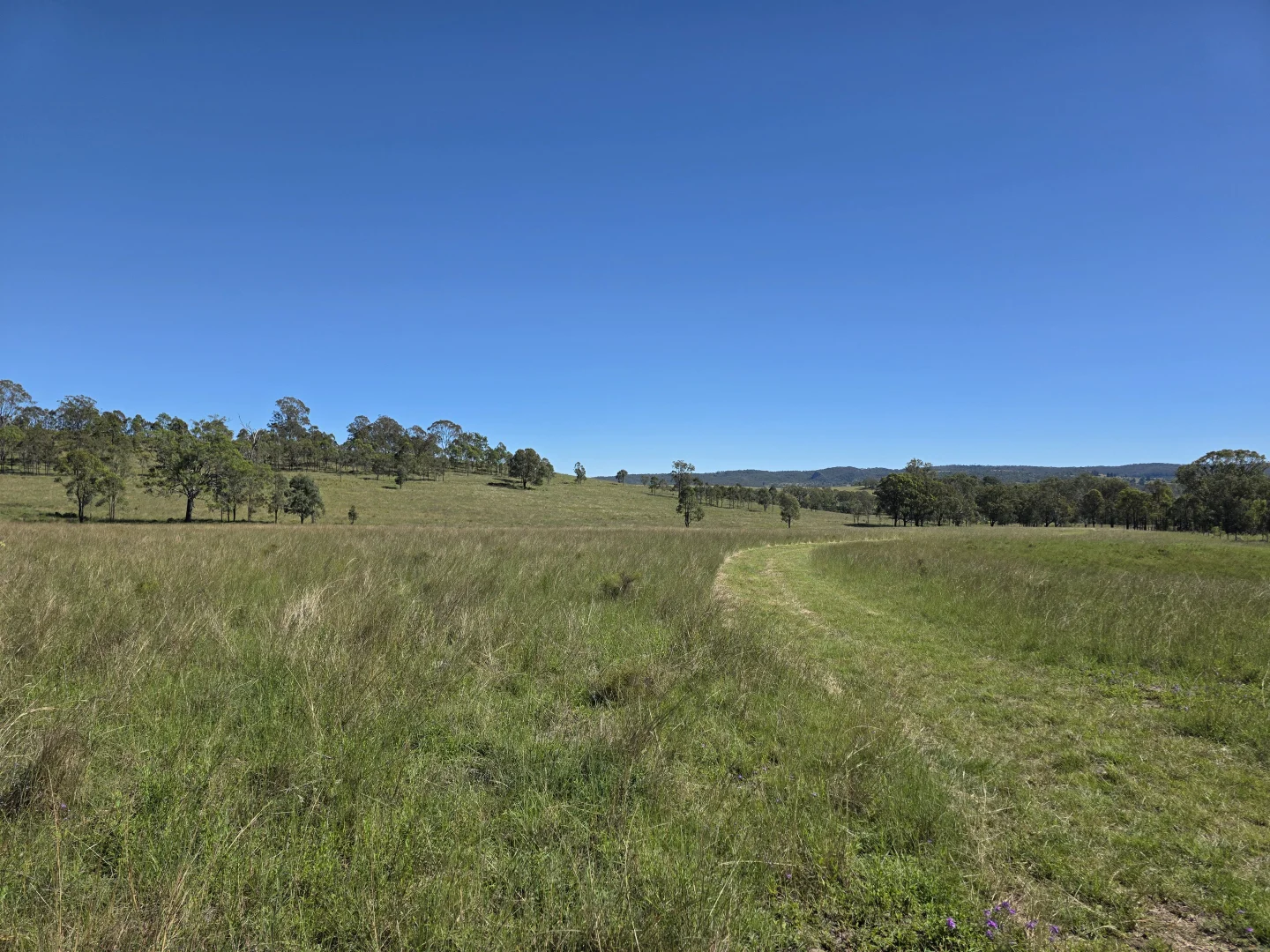 Additional image 11 of 160 Rocky Gully Road, Crows Nest QLD 4355