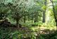 Additional image 21 of Putteridge Park, Putteridge, Luton, Bedfordshire, LU2 8LF