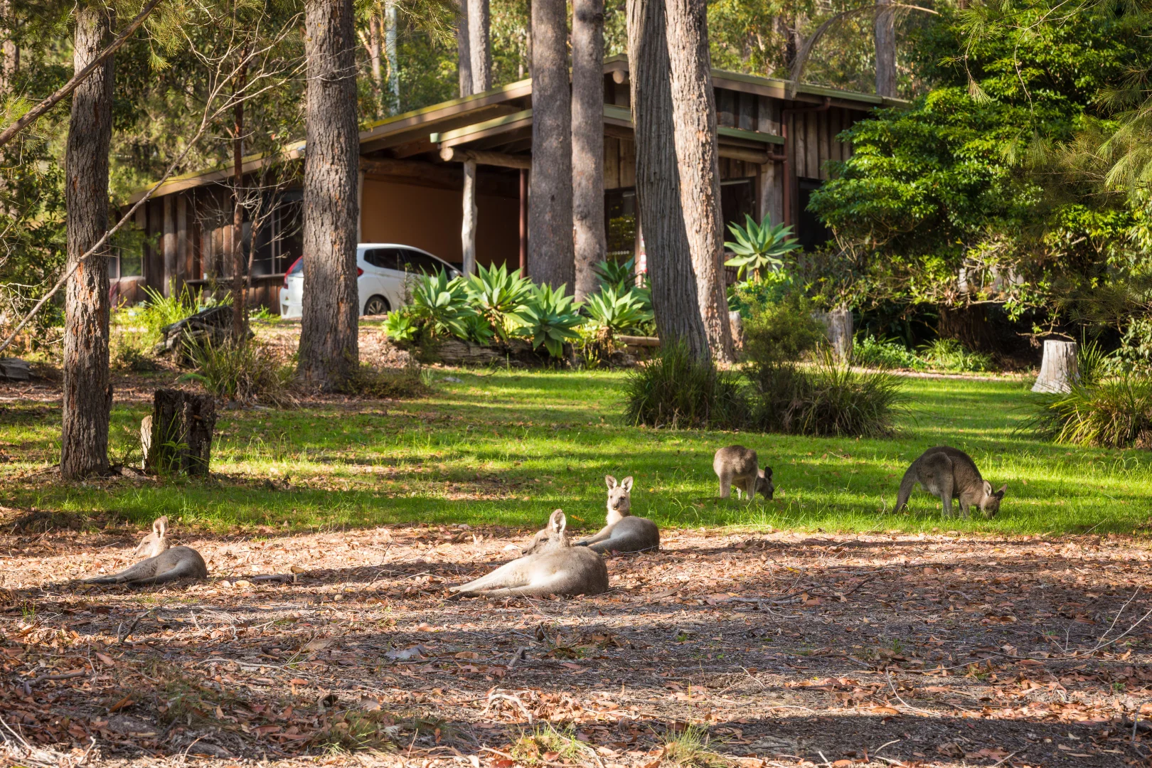 Additional image 4 of 3/111 Widgeram Road, Bournda NSW 2548