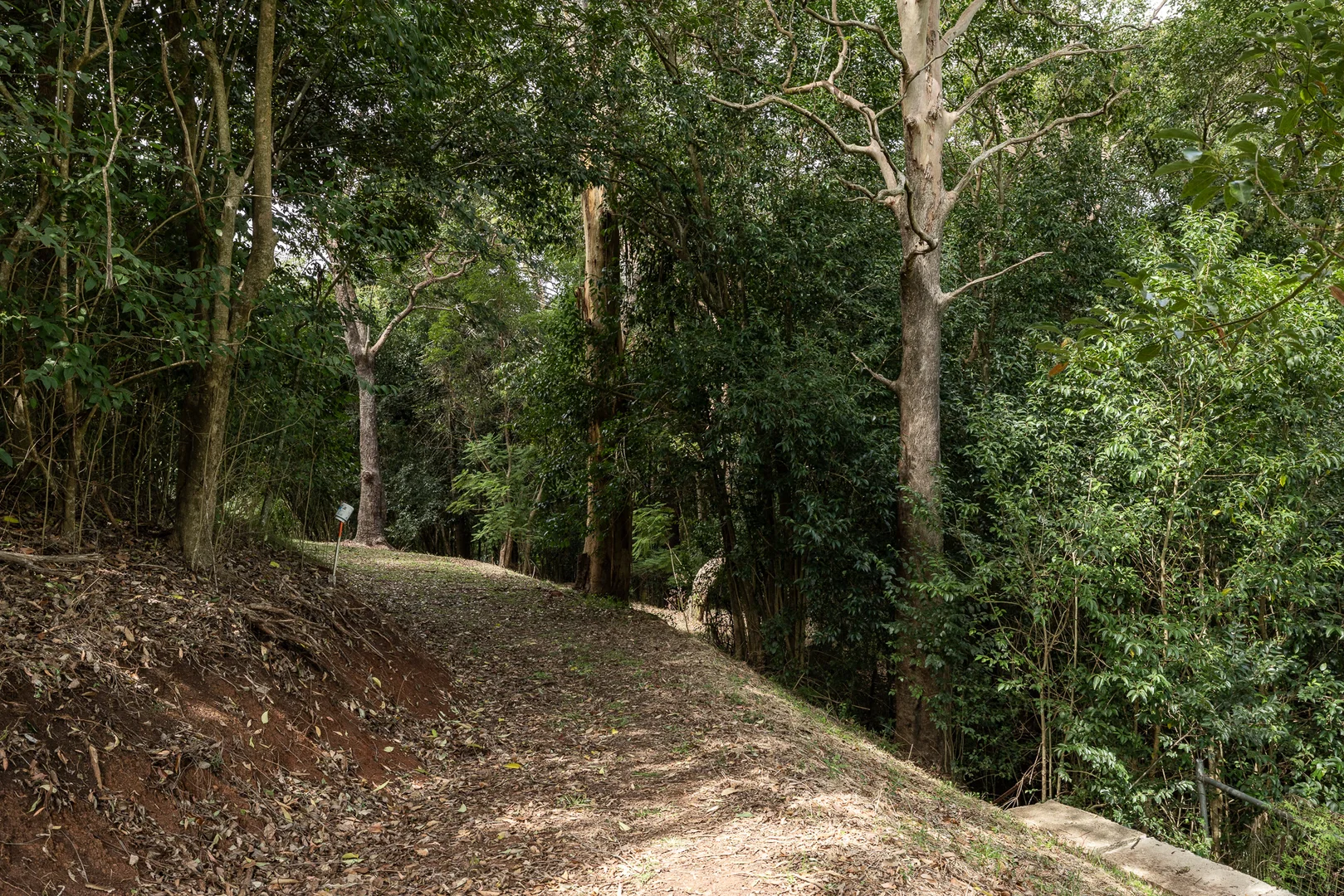 Additional image 8 of Lot 1 Allinga Street, Mount Lofty QLD 4350